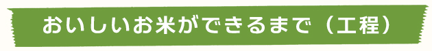 おいしいお米ができるまで