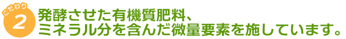 発酵させた有機質肥料、ミネラル分を含んだ微量要素を施しています。