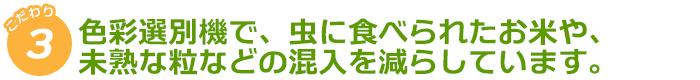 色別選別機で、虫に食べられたお米や、未熟な粒などの混入を減らしています。