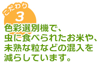 色彩選別機で虫に食べられたお米や、未熟な粒などの混入を減らしています。